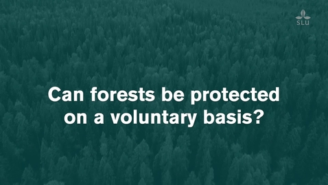Thumbnail for Can forests be protected on a voluntary basis? Forest talk with Adam Felton and Francisco X. Aguilar, SLU.