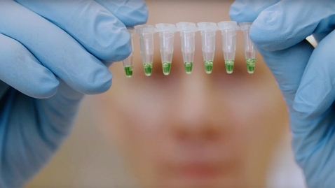 Thumbnail for Charles Melnyk - professor i växtfysiologi / Charles Melnyk - professor of plant physiology