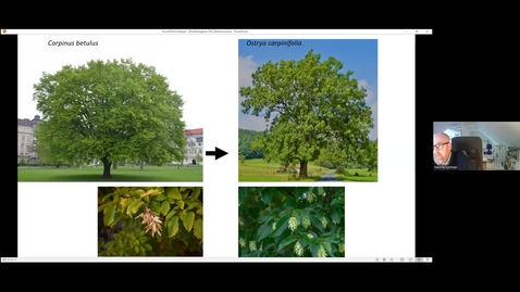Thumbnail for Urban Forests 14 - Tree selection for a sustainable urban forest in future climates 