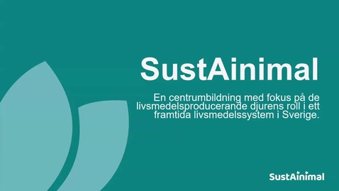 Thumbnail for Naturbeten – höga värden, höga hinder.  Anna Jamieson, Naturbete