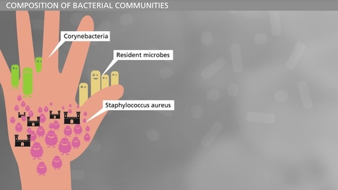 Thumbnail for  BIOFILM - Bacteria and Chronic Infections - Skin Microbiology