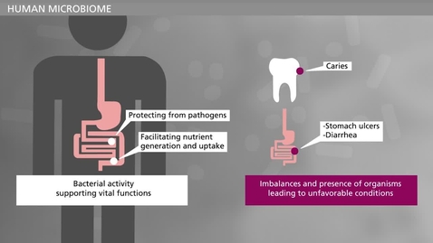 Thumbnail for BIOFILM - Bacteria and Chronic Infections - Introduction to Module