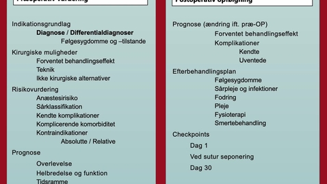 Thumbnail for Den Perioperative Checkliste