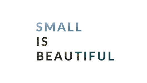 Thumbnail for Sustainable Development – Ideas and Imaginaries: 3.2 Small is beautiful
