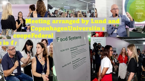Thumbnail for School Meals as a Food System Gamechanger - insights from a lively discussion at the COP30