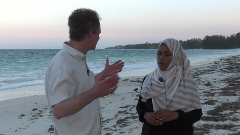 Thumbnail for Tourism impact on the environment on Zanzibar - Quiz