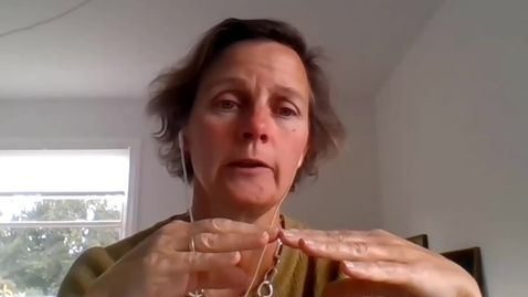 Thumbnail for Interview af Helle Tegner Anker om planloven,