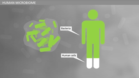 Thumbnail for BIOFILM - Planktonic and Biofilm Growing Bacteria
