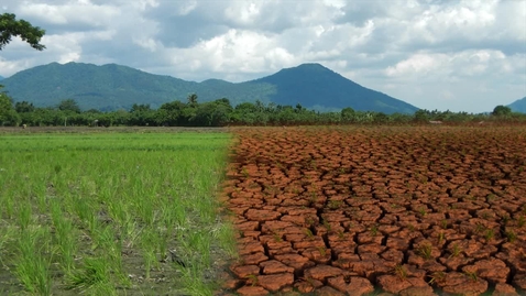 Thumbnail for An Introduction to Global Health -  Environmental Health Challenges (15:48)