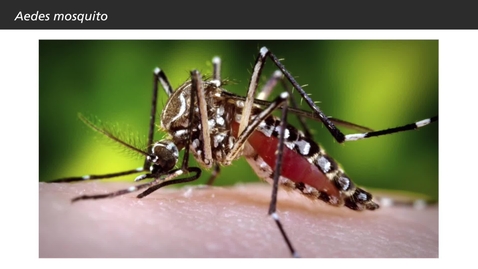 Thumbnail for Sustainable Tourism – promoting environmental public health: Control of mosquitoes at tourist destinations (11:18)