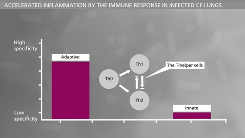 Thumbnail for BIOFILM - Chronic Infections Host Response Part II
