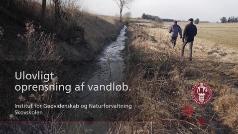 Thumbnail for Hvad er lovlig og ulovlig vandløbsvedligeholdelse?
