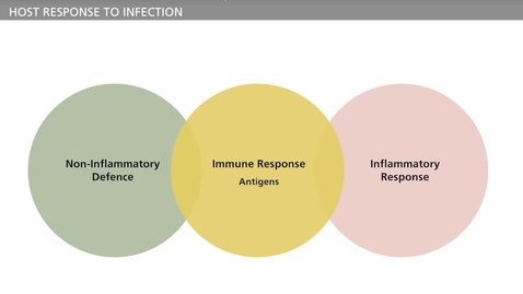 Thumbnail for BIOFILM - Chronic Infections Host Response Part I