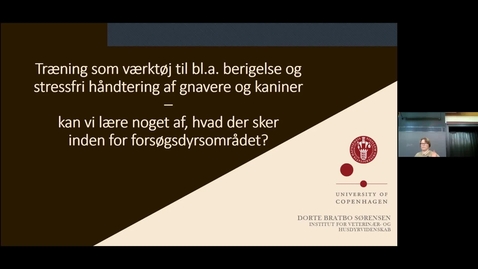 Thumbnail for Offentligt møde 2022 - Velfærd for kaniner og gnavere, der holdes som familiedyr: Dorte Bratbo Sørensen