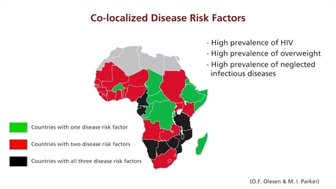 Thumbnail for An Introduction to Global Health -  Joint Risk Factors (14:49)