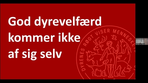 Thumbnail for Vid konference 2022 - Dyrevelfærdsmærker og andre markedsdrevne dyrevelfærdsinitiativer: Britta Riis