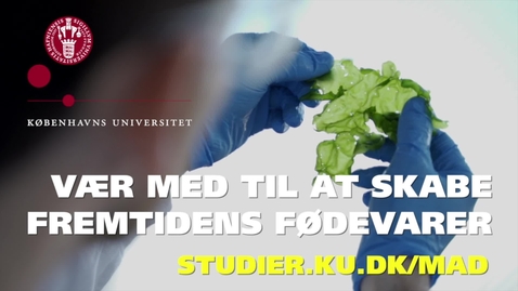Thumbnail for Bæredygtig mad skal også være lækker