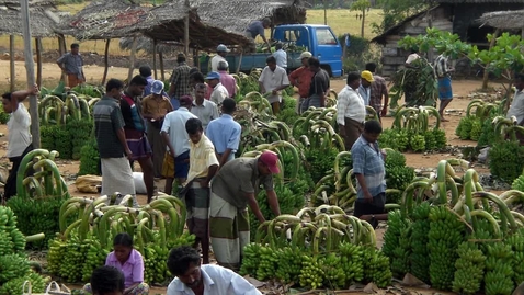 Thumbnail for An Introduction to Global Health -  Use of Pesticides - and the link to Self Harm in Sri Lanka (10:28)
