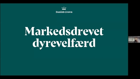 Thumbnail for Vid konference 2022 - Dyrevelfærdsmærker og andre markedsdrevne dyrevelfærdsinitiativer: Claus Hein