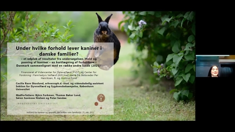 Thumbnail for Offentligt møde 2022 - Velfærd for kaniner og gnavere, der holdes som familiedyr: Cecilie Ravn Skovlund