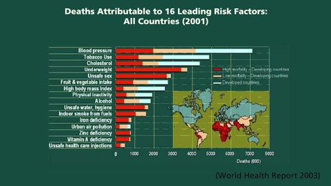 Thumbnail for An Introduction to Global Health -  Disease-specific Risk Factors - Part 1 of 2 (09:52)_1