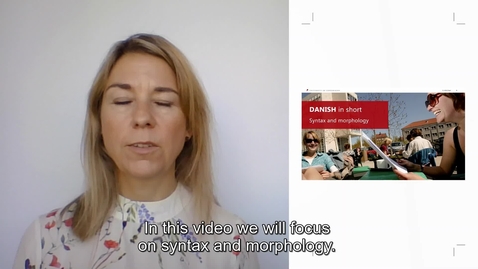 Thumbnail for Danish Syntax and Morphology _ international students_2020