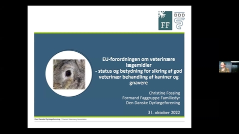 Thumbnail for Offentligt møde 2022 - Velfærd for kaniner og gnavere, der holdes som familiedyr: Christine Fossing