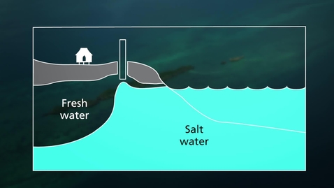 Thumbnail for Sustainable Tourism – promoting environmental public health: Saltwater intrusion and the impact upon freshwater supplies (08:46)