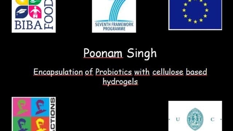 Thumbnail for BIBAFOODS_Poonam Singh_01.wmv