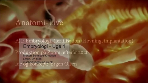 Thumbnail for F21 Embryologi 1 Zoom - E2020