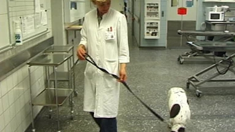 Thumbnail for Klinisk undersøgelse af fordøjelsessystemet