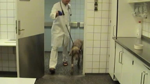 Thumbnail for Klinisk undersøgelse af cirkulationssystemet