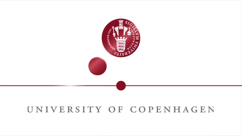Thumbnail for Prepare for a career in Denmark while studying at UCPH