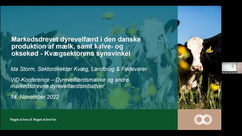 Thumbnail for Vid konference 2022 - Dyrevelfærdsmærker og andre markedsdrevne dyrevelfærdsinitiativer: Ida Storm