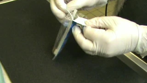 Thumbnail for Intravenous catheterisation on a model