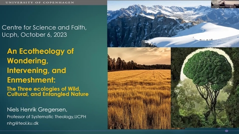 Thumbnail for An ecotheology of wondering, intervening and enmeshment |Niels Henrik Gregersen