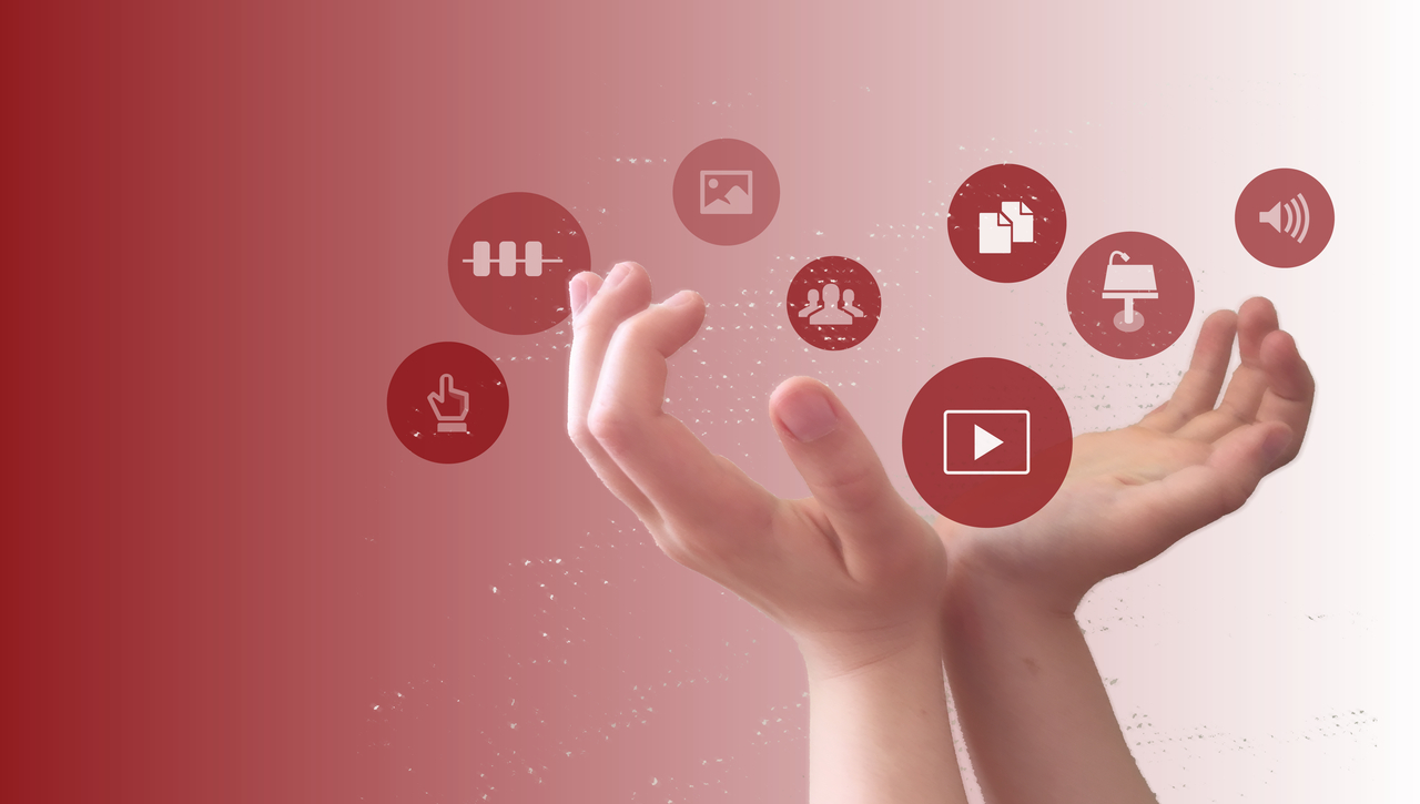 On this multimedia platform you will find: