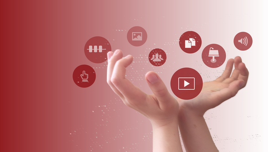 On this multimedia platform you will find: