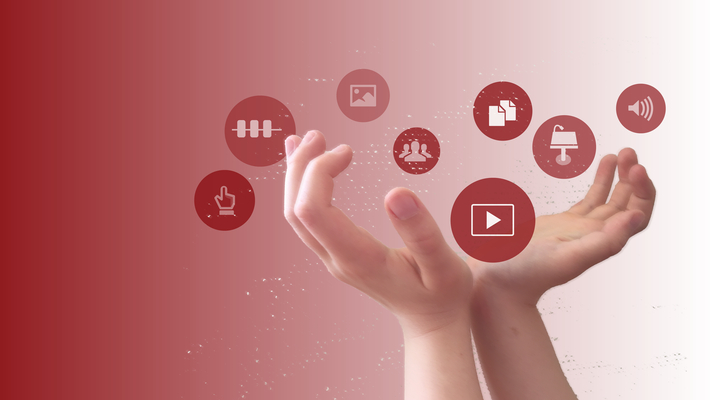 On this multimedia platform you will find:
