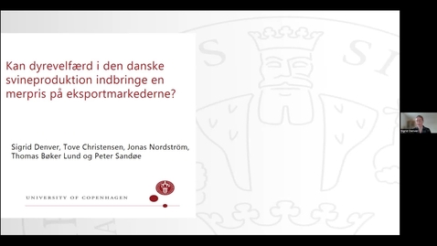 Thumbnail for Vid konference 2022 - Dyrevelfærdsmærker og andre markedsdrevne dyrevelfærdsinitiativer: Sigrid Denver