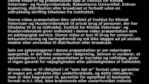 Thumbnail for Fødsel. Hund