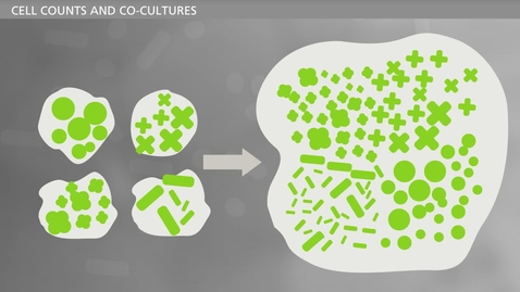 Thumbnail for BIOFILM - Bacteria and Chronic Infections - Evolution in Biofilms Part 1