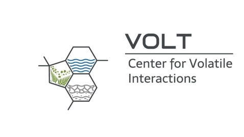 Thumbnail for VOLT v/ Riikka Rinnan