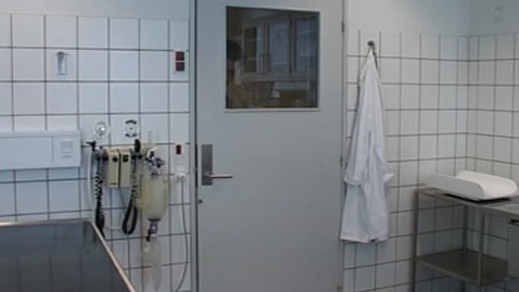Thumbnail for Anamnese, klientkommunikation (slap labrador) 