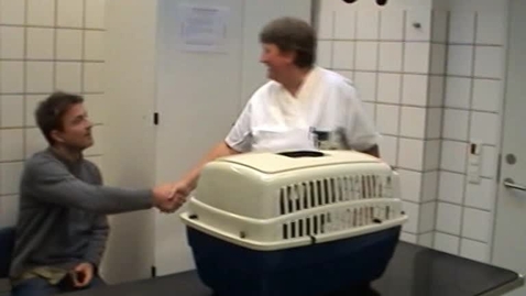 Thumbnail for Anamnese, klientkommunikation (kat i kasse)  