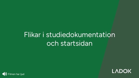 Thumbnail for Startsidan och flikarna i studiedokumentation