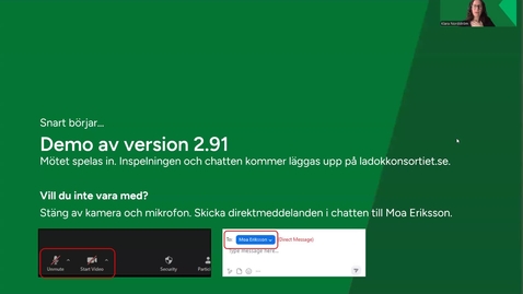 Thumbnail for Demo av version 2.91