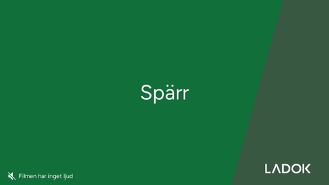 Thumbnail for Spärr från tillfällesstrukturen