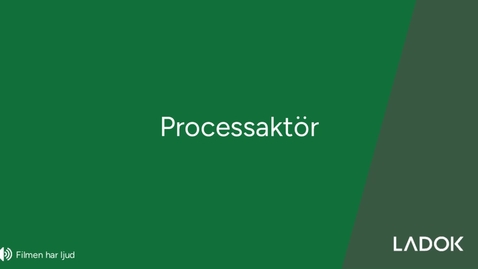 Thumbnail for Processaktör