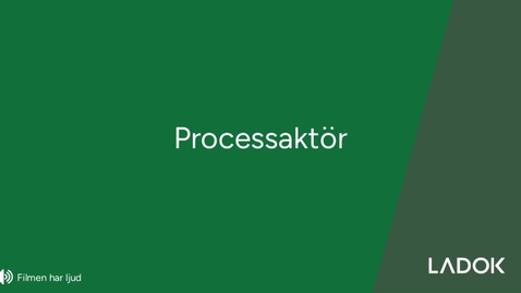 Thumbnail for Processaktör